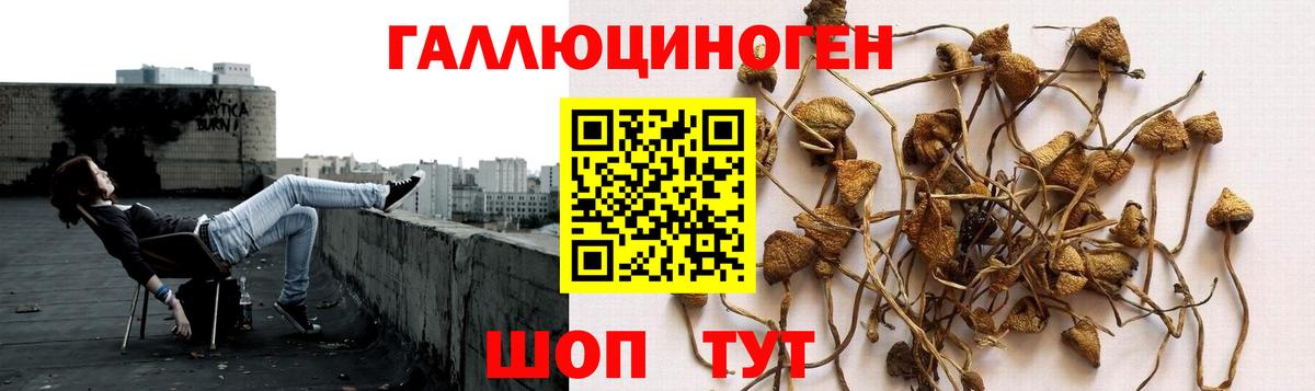 Псилоцибиновые грибы ЛСД Буйнакск