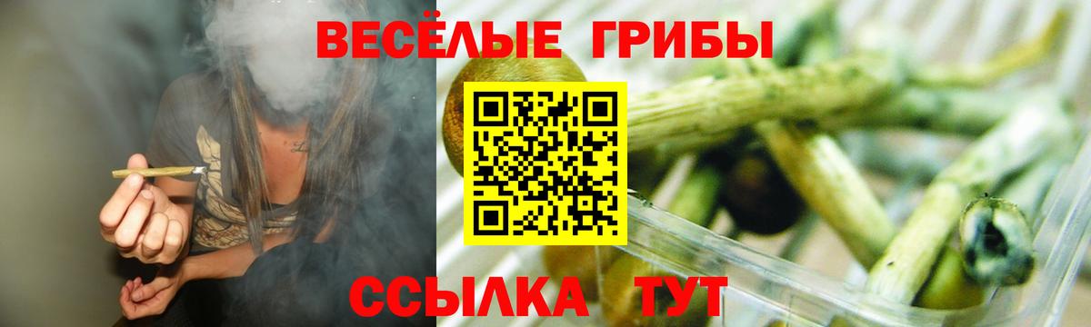 Галлюциногенные грибы Cubensis  Вход с VPN  Буйнакск  купить закладку  Псилоцибиновые грибы прущие грибы 